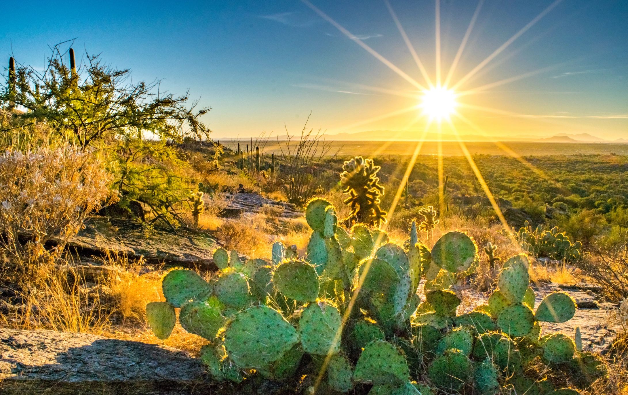 Arizona desert hillside at sunset with wide open views