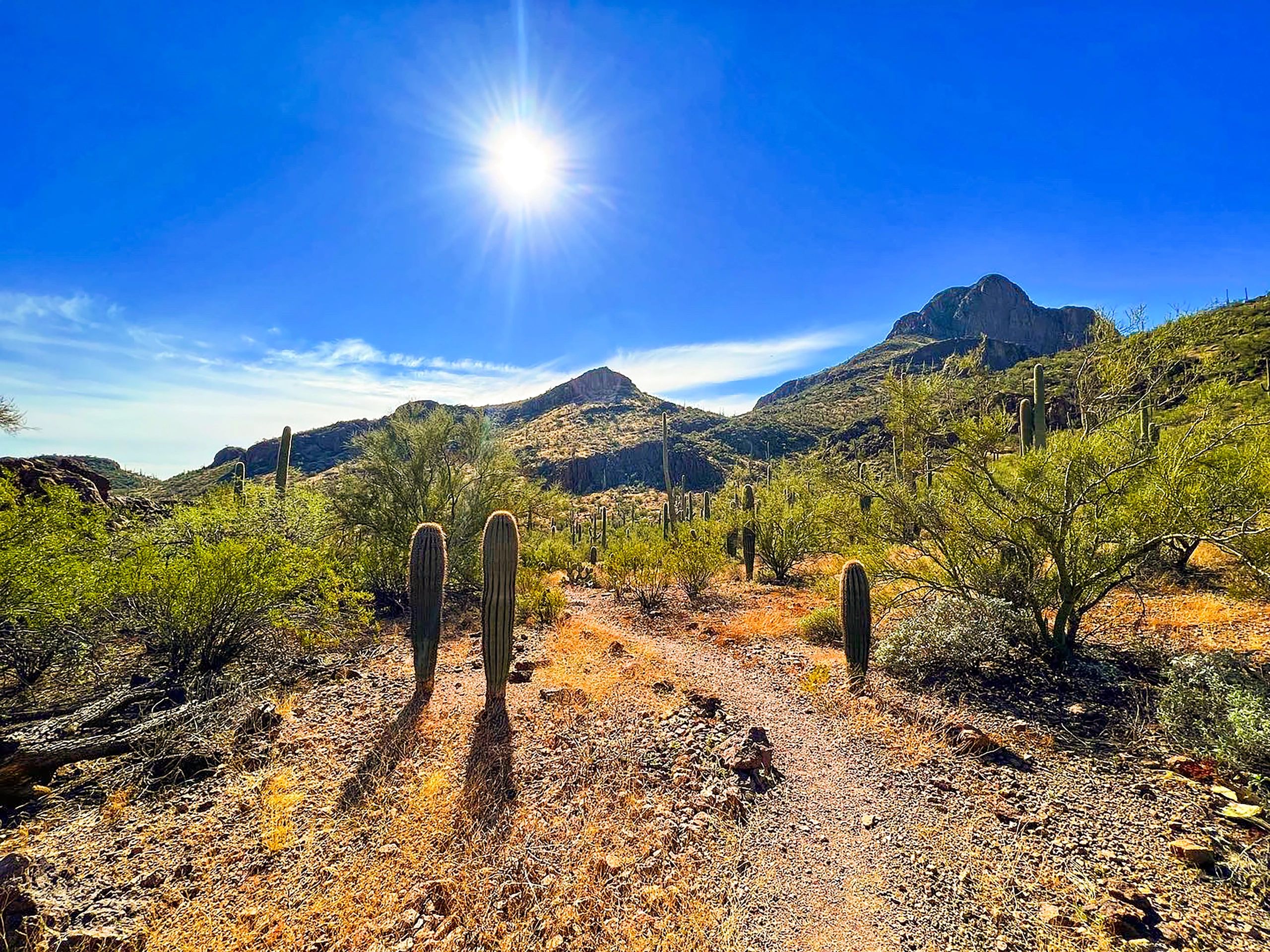 Arizona mountain and desert landscape with open skies